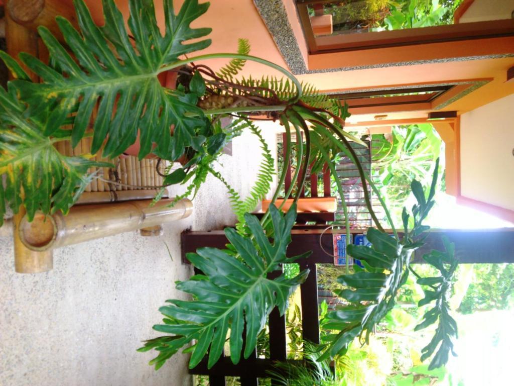 Inn On The Park مانويل أنطونيو المظهر الخارجي الصورة
